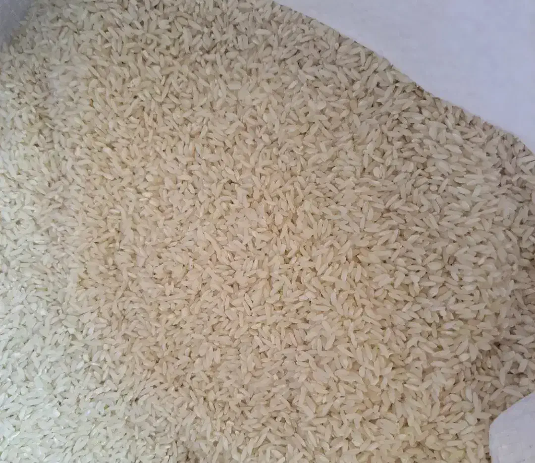 برنج علی کاظمی الشتر|خوردنی و آشامیدنی|الشتر, |دیوار