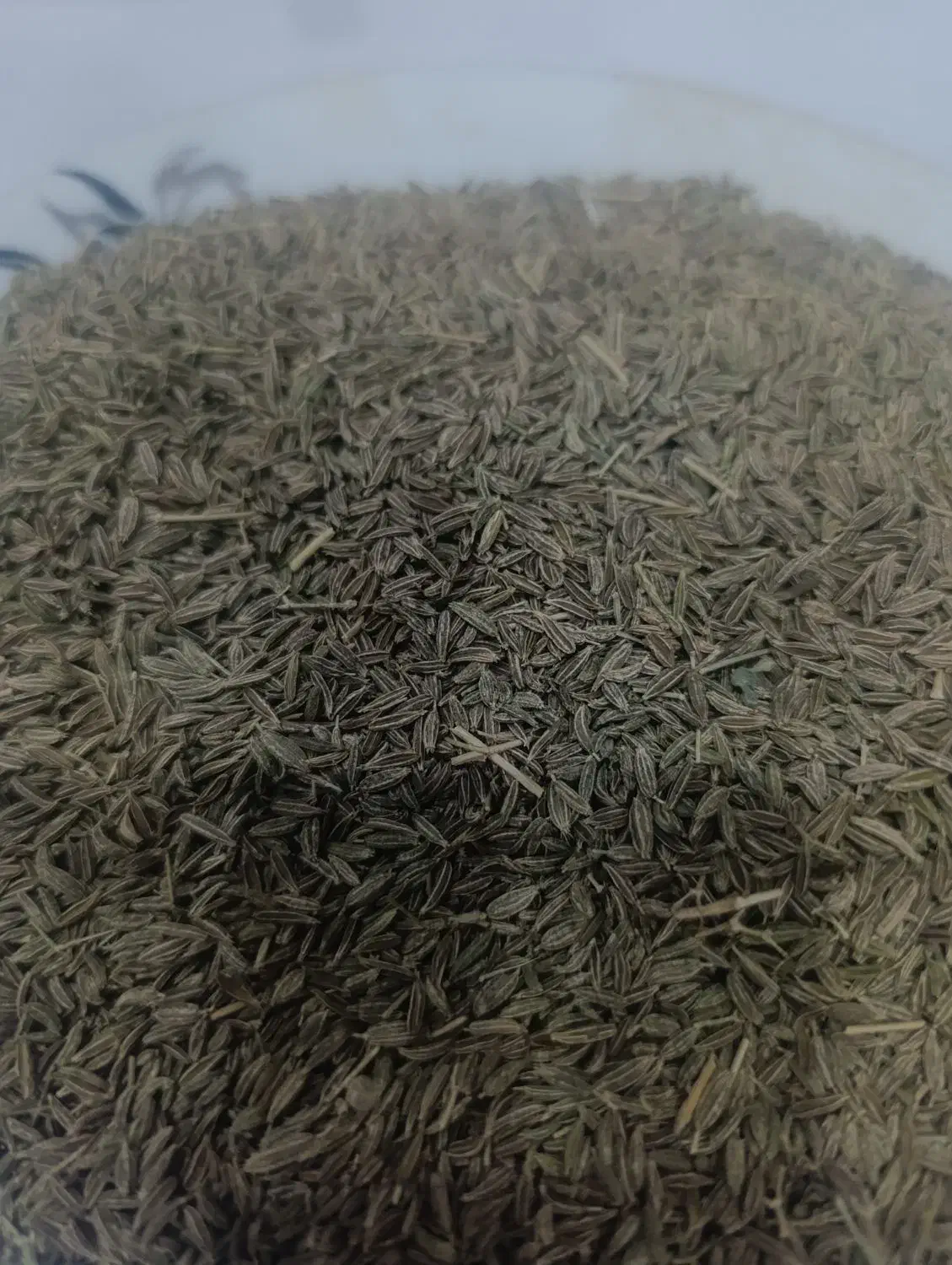 زیره سبز بوجاری تمیز|خوردنی و آشامیدنی|تربتحیدریه, سیلوی گندم|دیوار