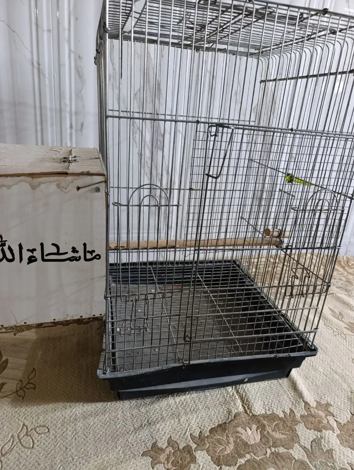 قفس|لوازم جانبی حیوانات|ایرانشهر, |دیوار