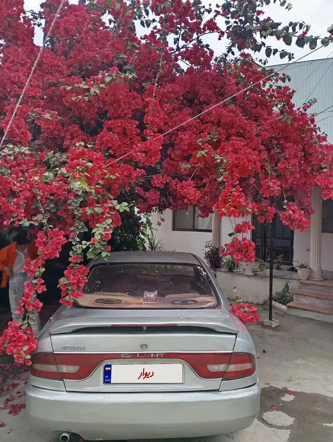 گالانت عینکی|خودرو سواری و وانت|پرند, فاز ۰|دیوار