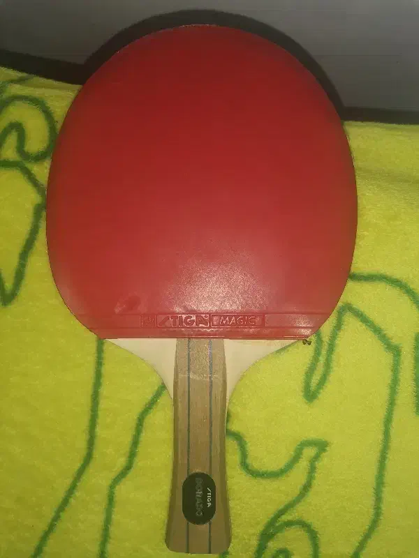 راکت دورادو|ورزشهای توپی|قائن, |دیوار