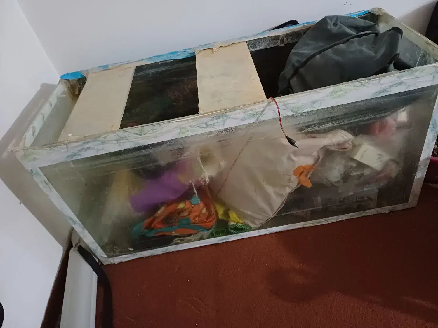 آکواریوم|ماهی|زابل, |دیوار