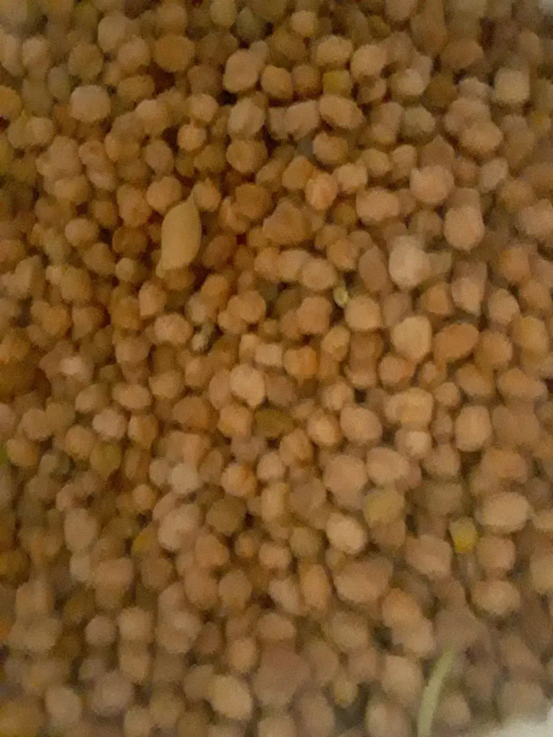 نخود|عمدهفروشی|خاوه, |دیوار