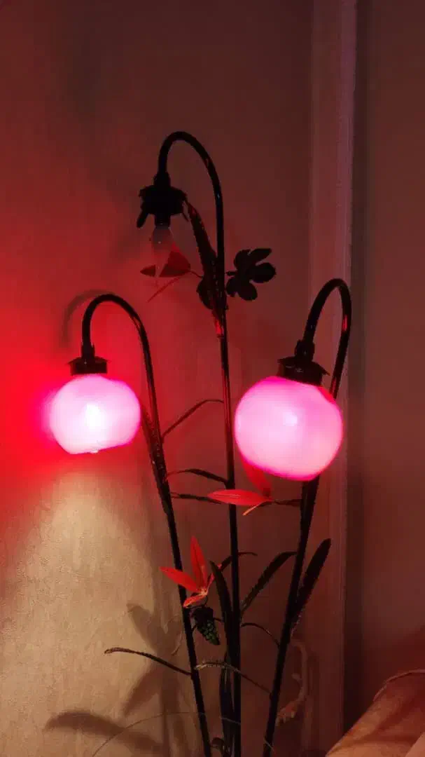 فروش آباژور ایستاده|چراغ خواب و آباژور|سنندج, |دیوار