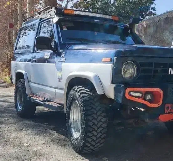 پاترول انژکتور دودرب|خودرو سواری و وانت|کرمان, |دیوار