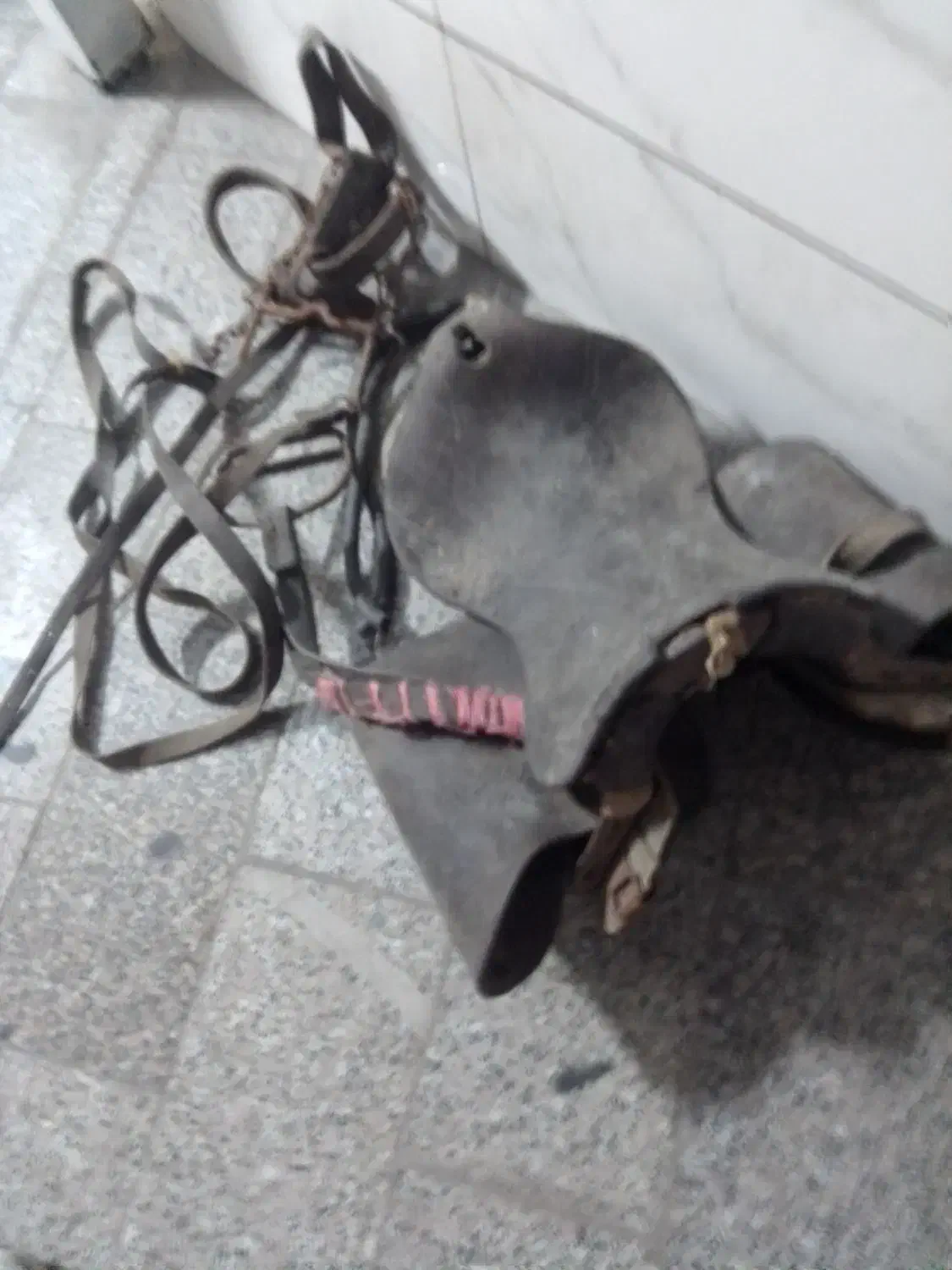 زین دهنه اسب|اسب و تجهیزات اسبسواری|مشهد, گلبرگ شمالی|دیوار