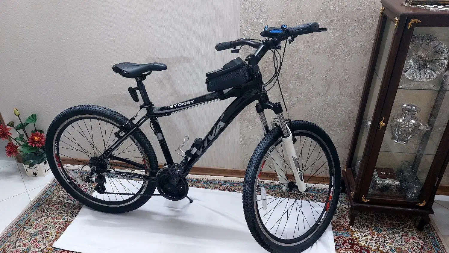 دوچرخه|دوچرخه، اسکیت، اسکوتر|مشهد, امیر|دیوار