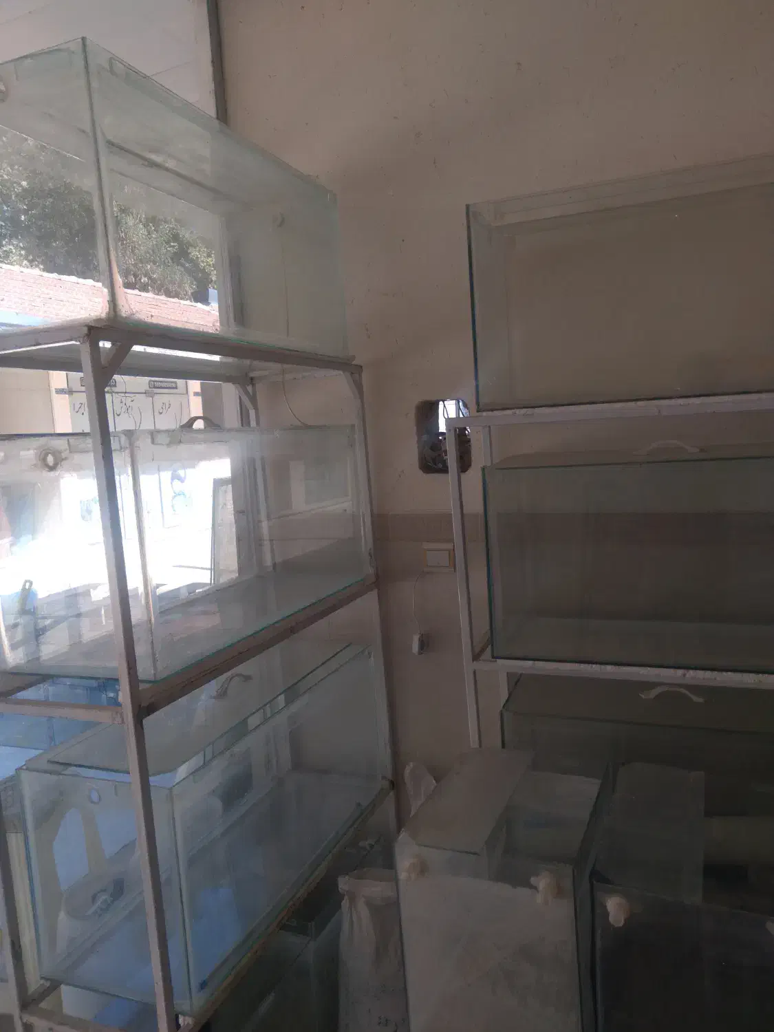 فوری۵۰۰ ت آکواریوم|ماهی|گلپایگان, |دیوار