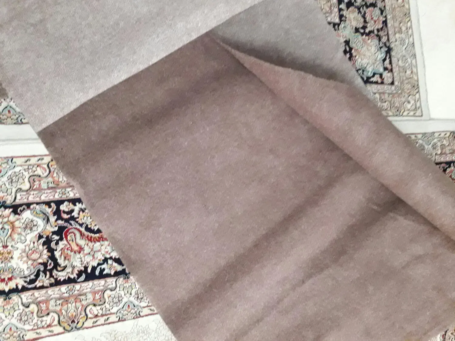 فروش موکت|موکت|رشت, گلباغ نماز|دیوار