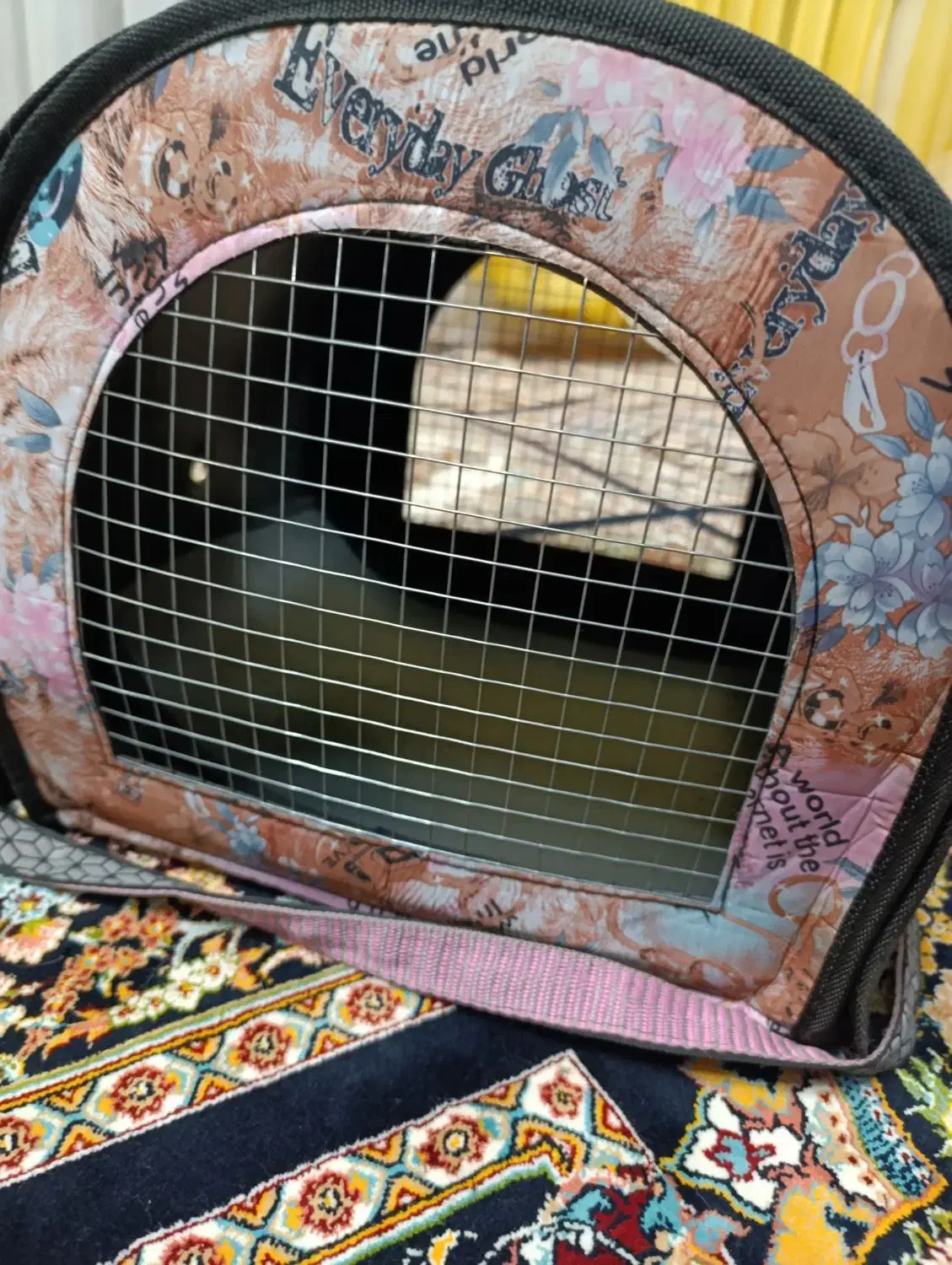 کیف حیوانات خانگی|لوازم جانبی حیوانات|مشهد, یاس|دیوار