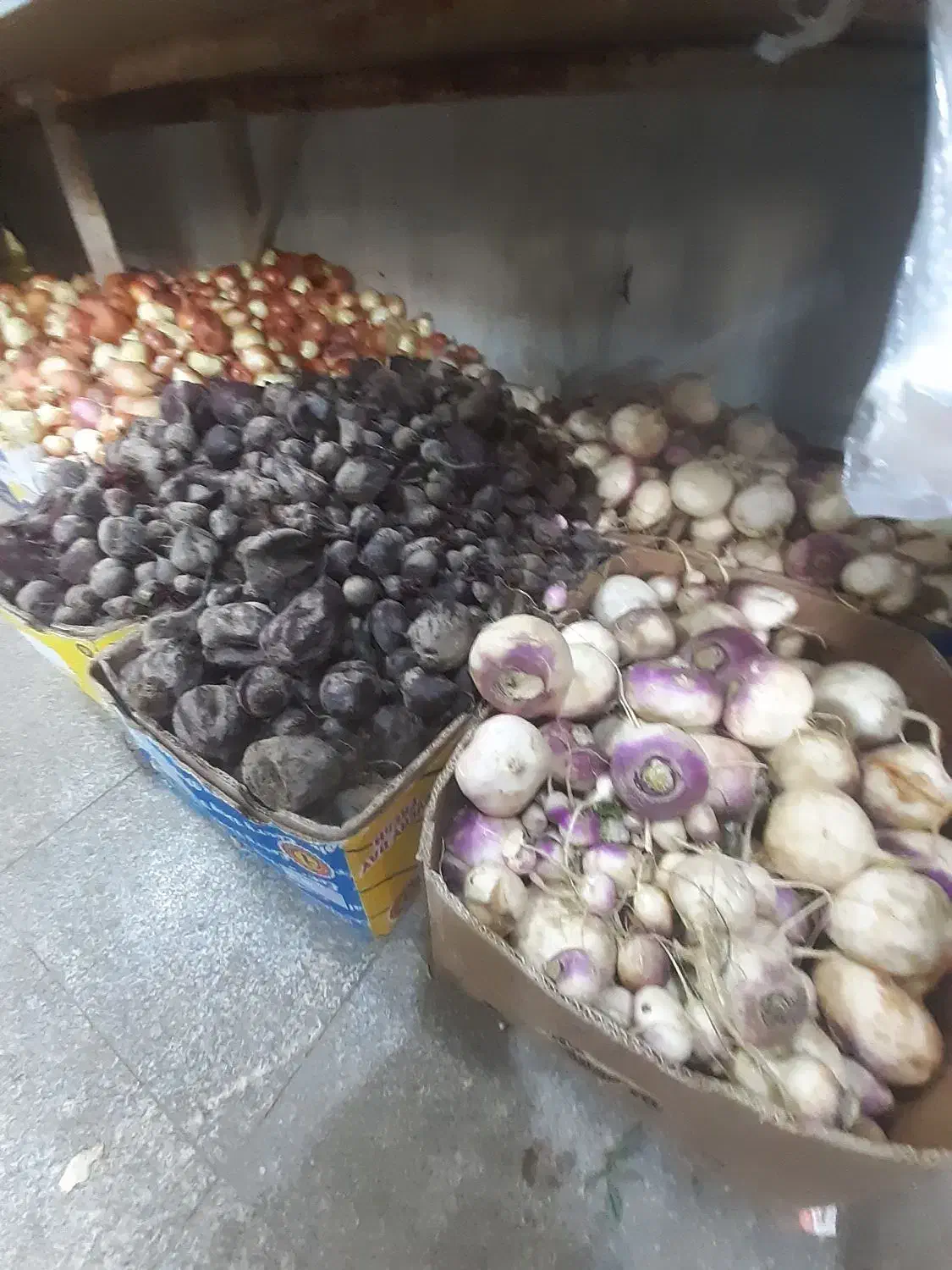 باره میوه وتره بار|خوردنی و آشامیدنی|تهران, حشمتیه|دیوار