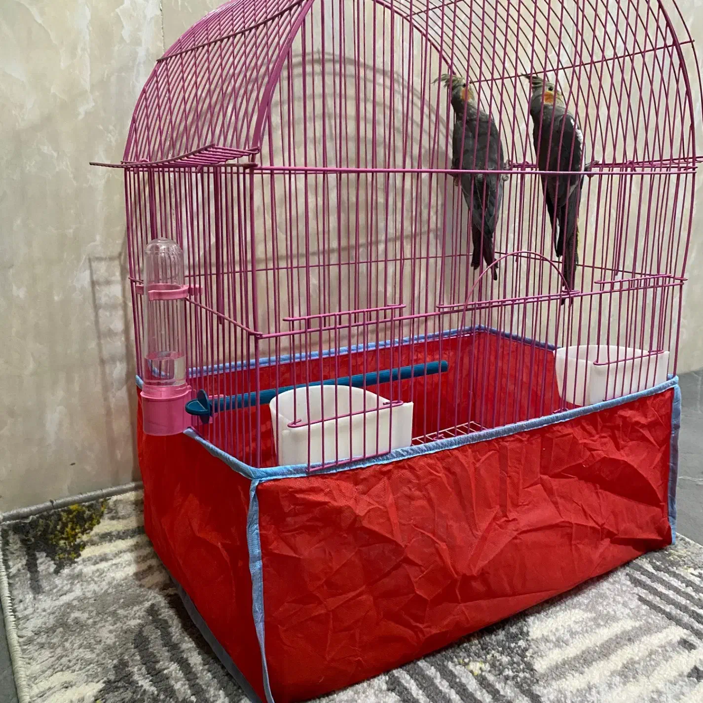 قفس بزرگ|لوازم جانبی حیوانات|بروجرد, |دیوار