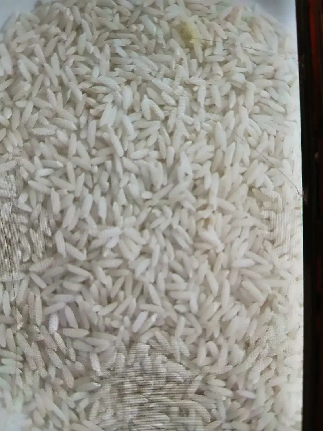 برنج محلی|خوردنی و آشامیدنی|سیلاخور, |دیوار