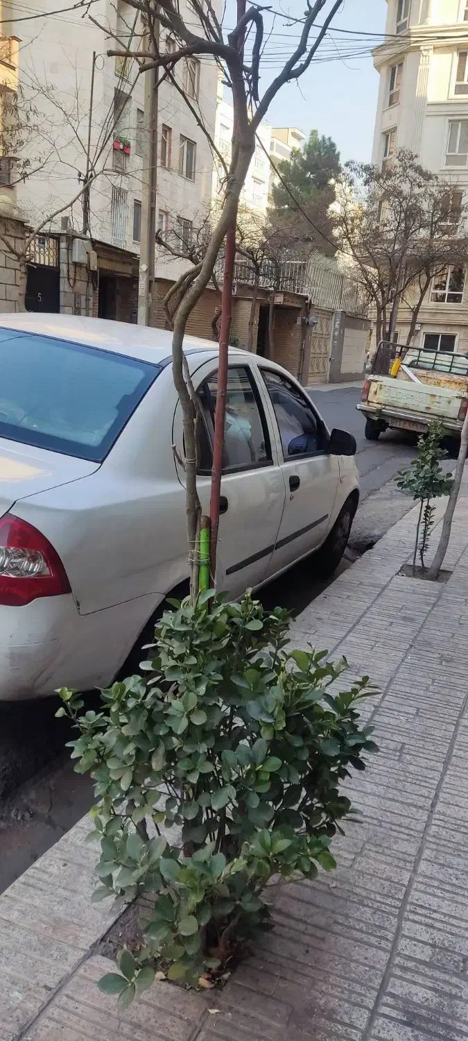 تیبا مدل ۹۹|خودرو سواری و وانت|تهران, هروی|دیوار