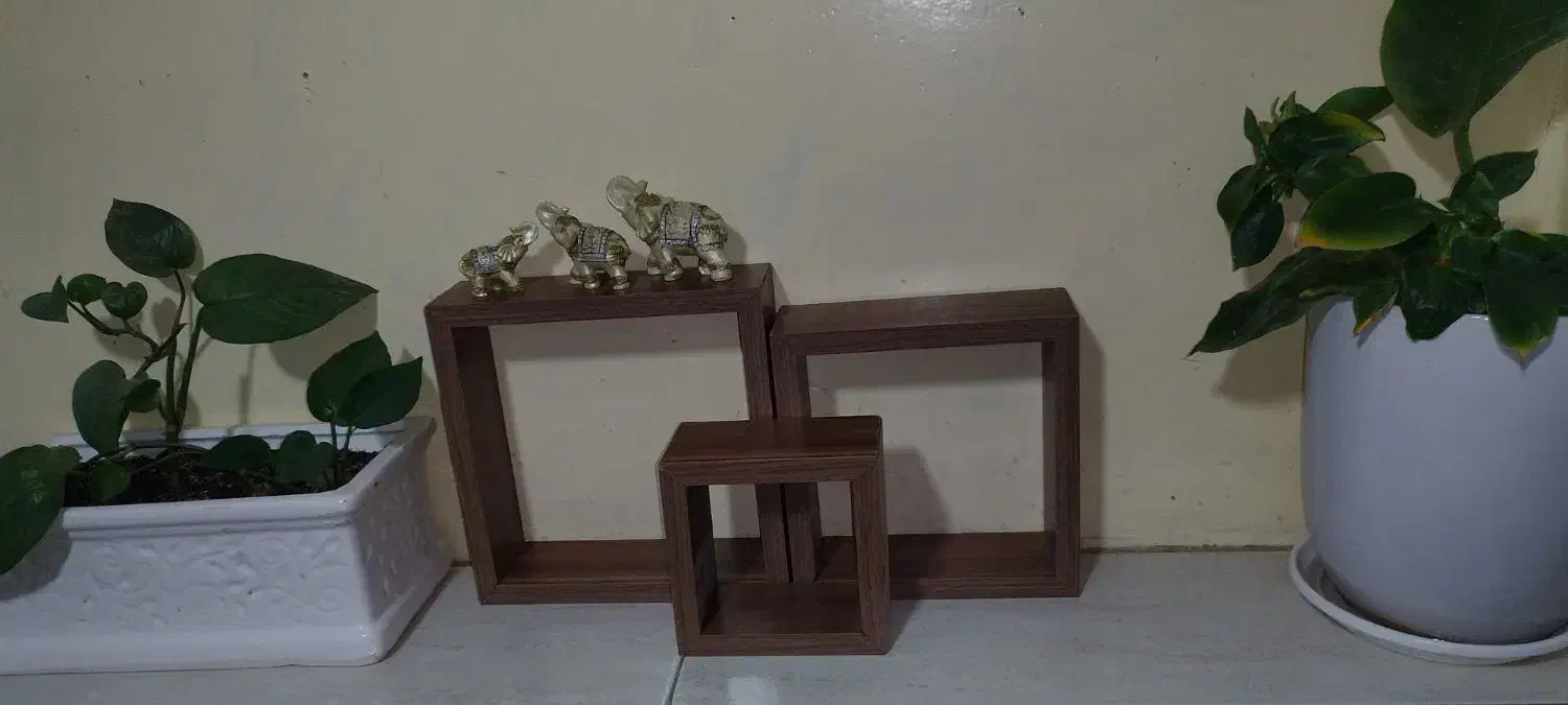 باکس دیواری|کتابخانه، شلف، قفسه‌های دیواری|نیشابور, خط کاشمر|دیوار