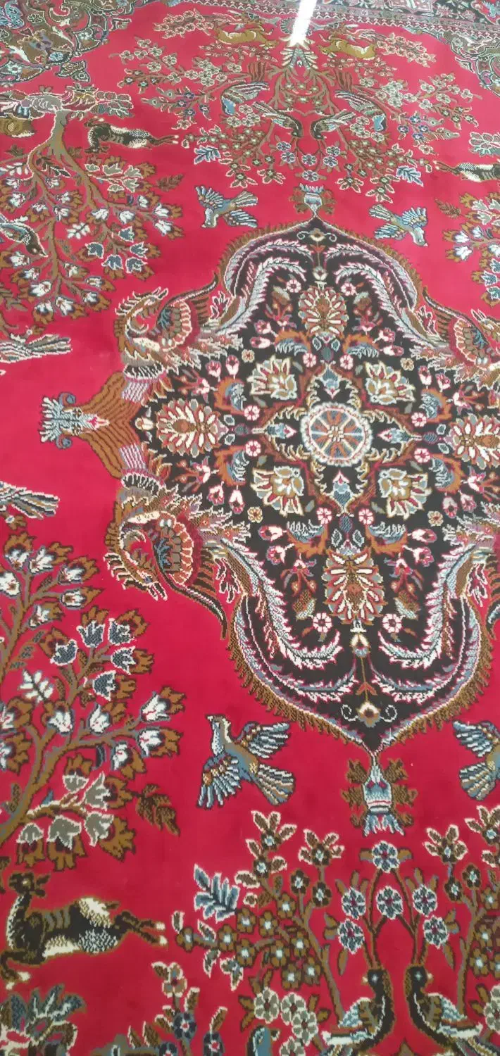 فرش ۱۲ متری|فرش|میاندوآب, |دیوار