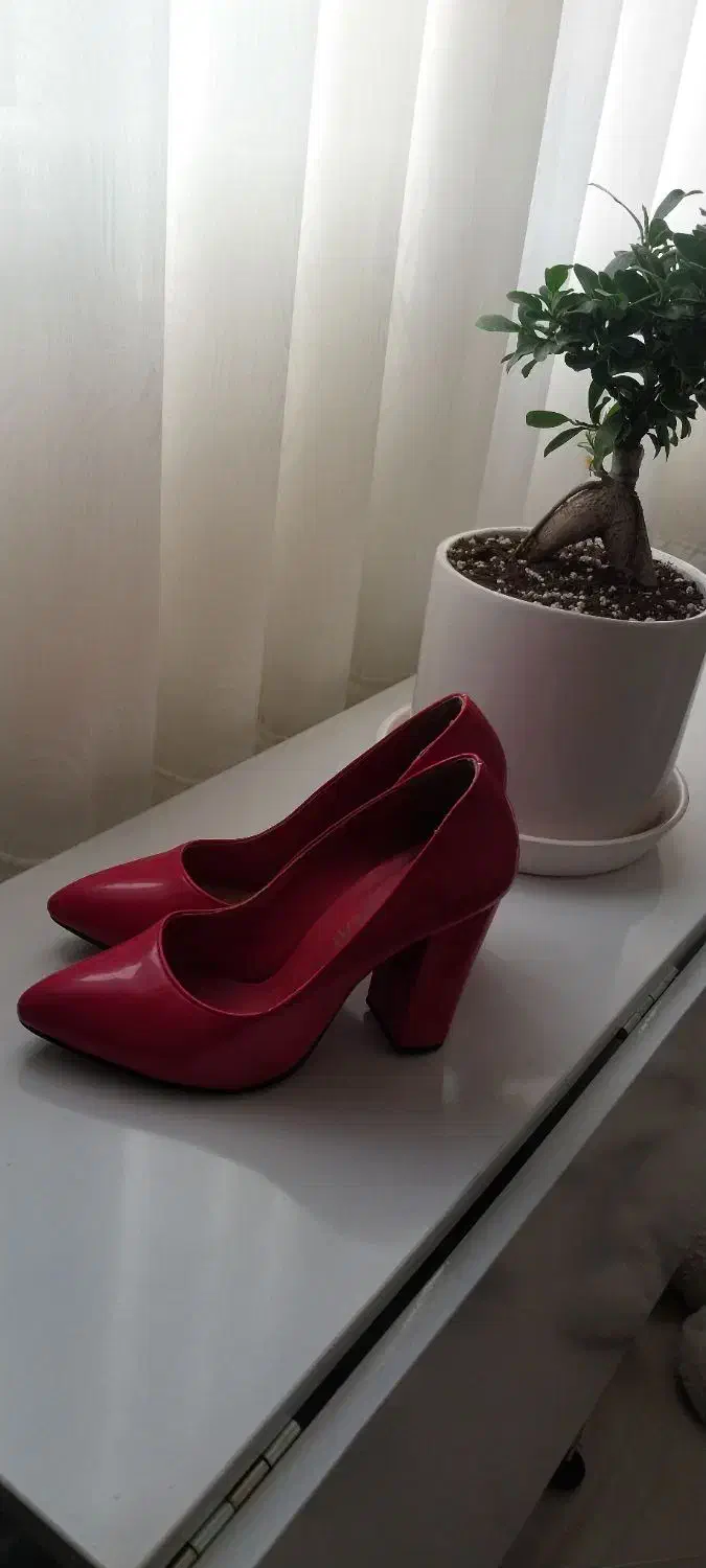 کفش مجلسی|کیف، کفش، کمربند|ورامین, شهرک ولیعصر|دیوار