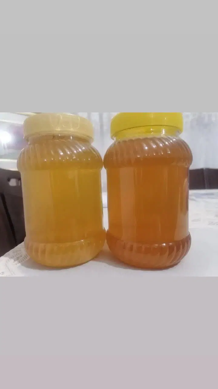 عسل|خوردنی و آشامیدنی|خرمآباد, |دیوار