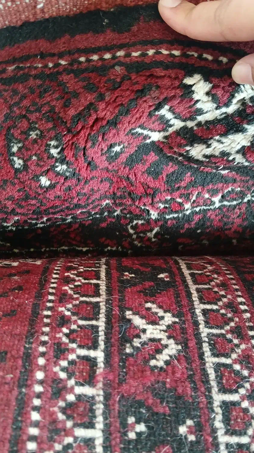 فرش|فرش|گنبد کاووس, |دیوار