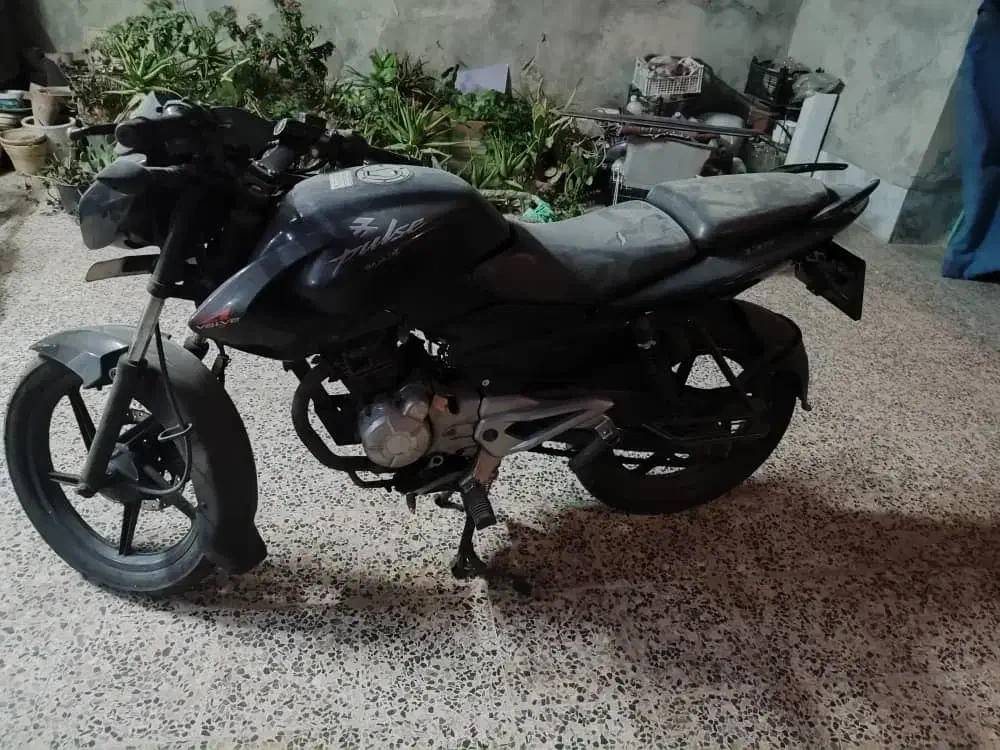 متور باسل ۱۳۵|موتورسیکلت|شیراز, فرودگاه شهید دستغیب شیراز|دیوار