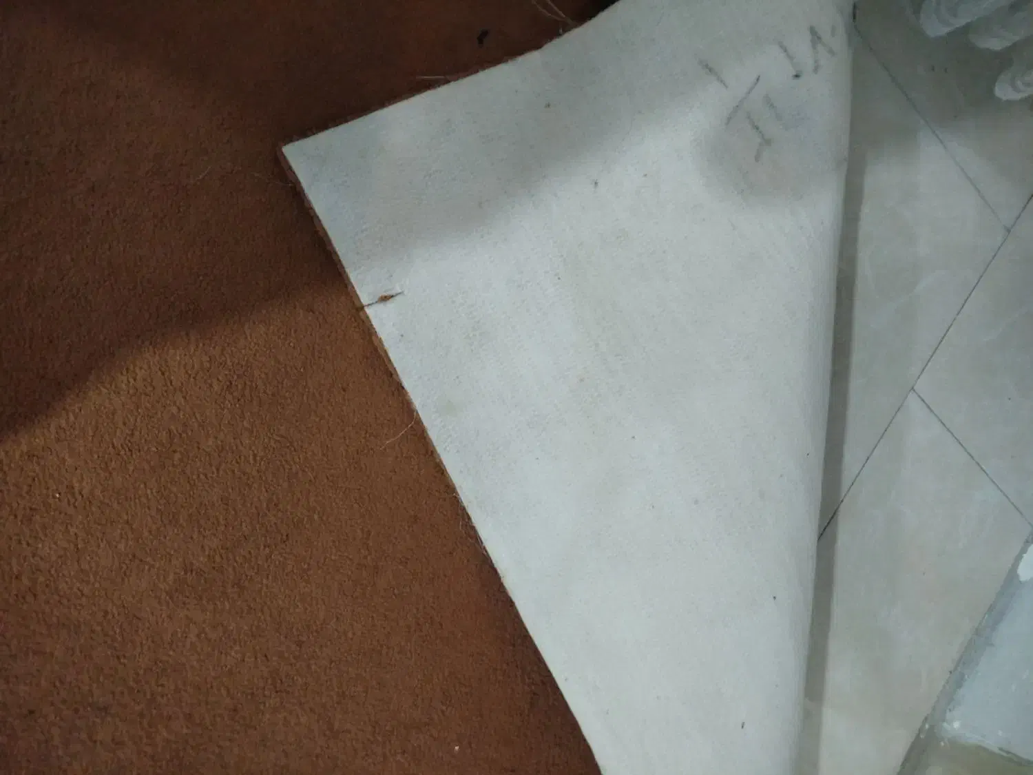 فرش وموکت|فرش|گرگان, |دیوار