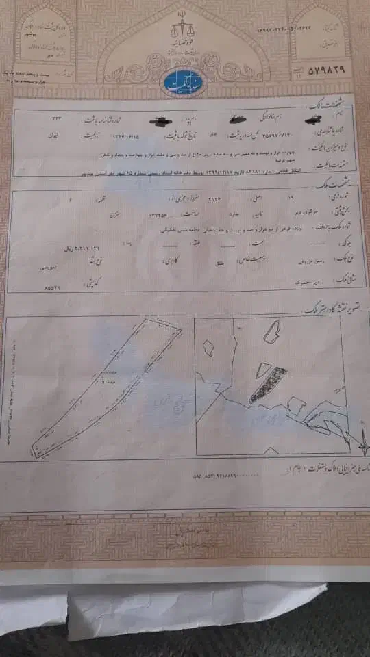 فروش یک هکتار و نیم زمین جمرک|فروش زمین و ملک کلنگی|بندر دیر, |دیوار