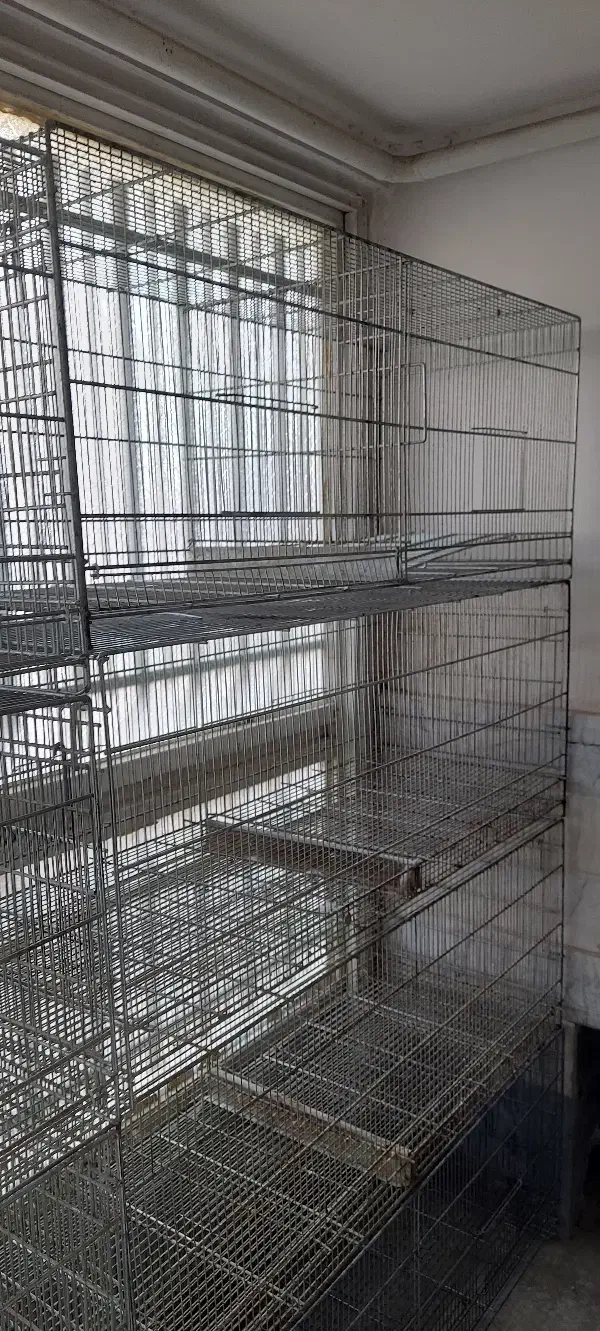 پژاوند بدون پایه  از قم|لوازم جانبی حیوانات|آفتاب, |دیوار