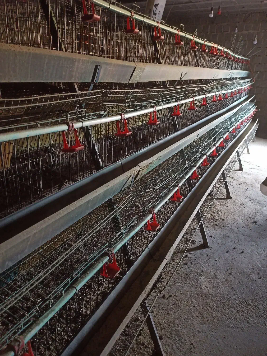 فروش قفس منبری مرغ تخمگذار|لوازم جانبی حیوانات|شاهین دژ, |دیوار