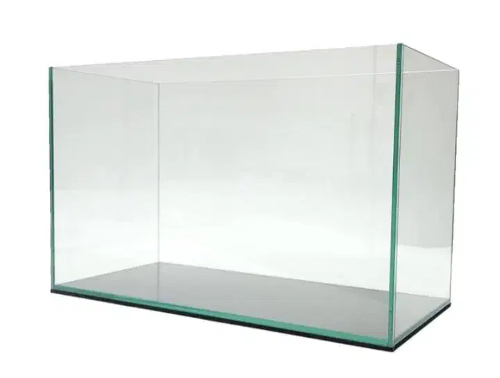 یک عدد آکواریوم|ماهی|میبد, |دیوار