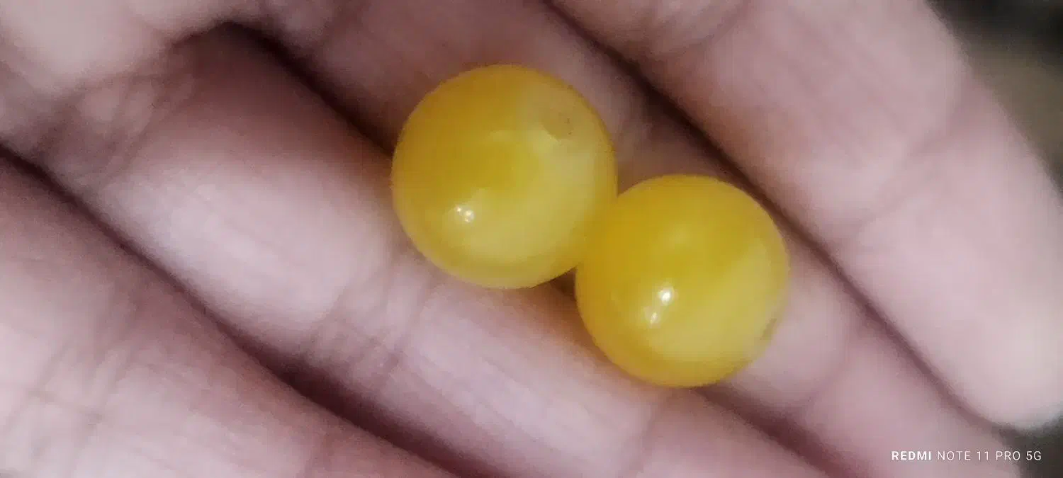 عقیق زرد|جواهرات|شیراز, ماه فیروزان|دیوار