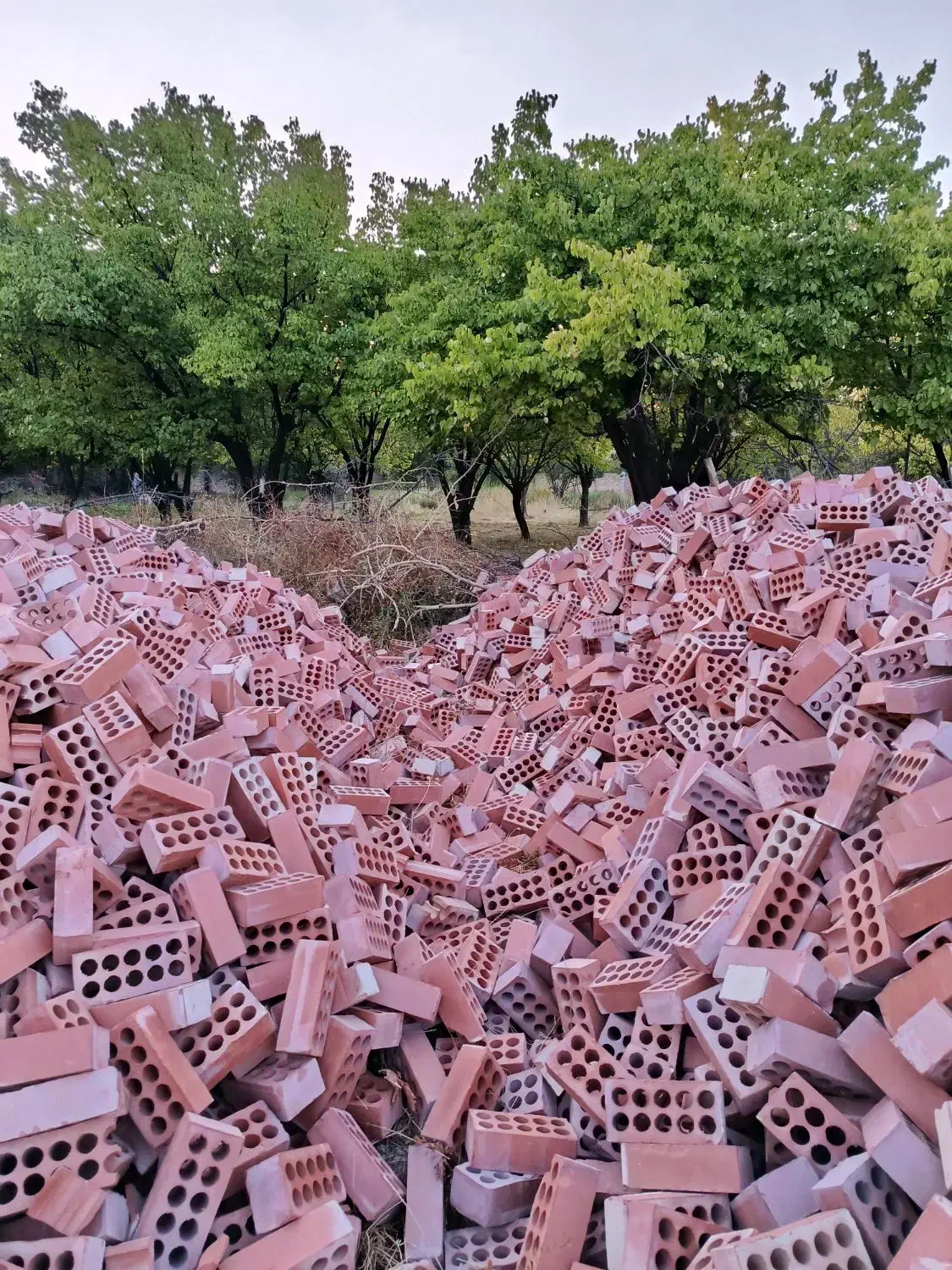 تیغه آجر سفال|مصالح و تجهیزات ساختمان|کرمان, |دیوار