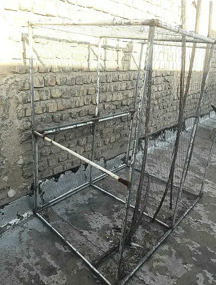 گنجه|لوازم جانبی حیوانات|قم, شاه ابراهیم|دیوار