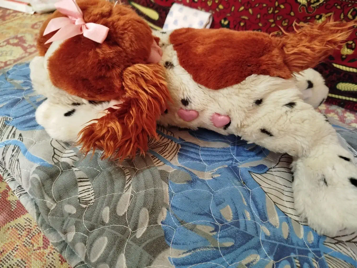 خرس های خارجی|اسباب‌‌بازی|اهواز, کمپلو شمالی|دیوار