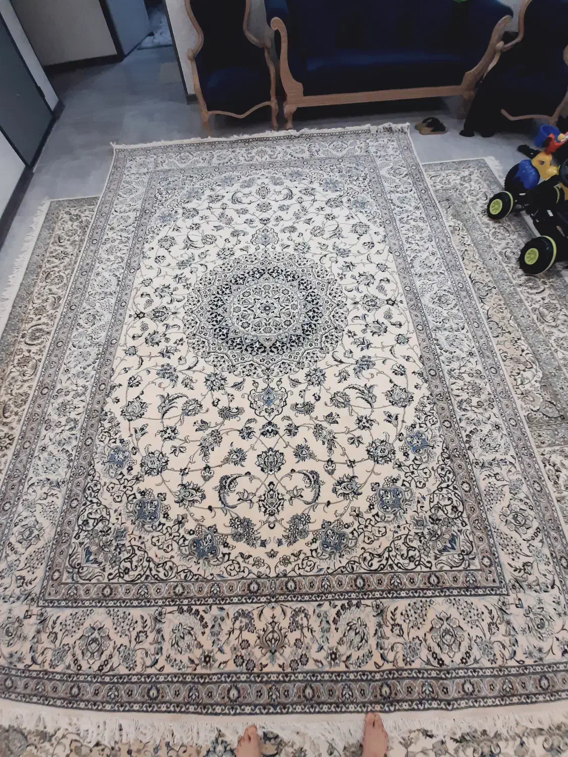 فرش دستباف نایینی|فرش|اصفهان, پروین|دیوار