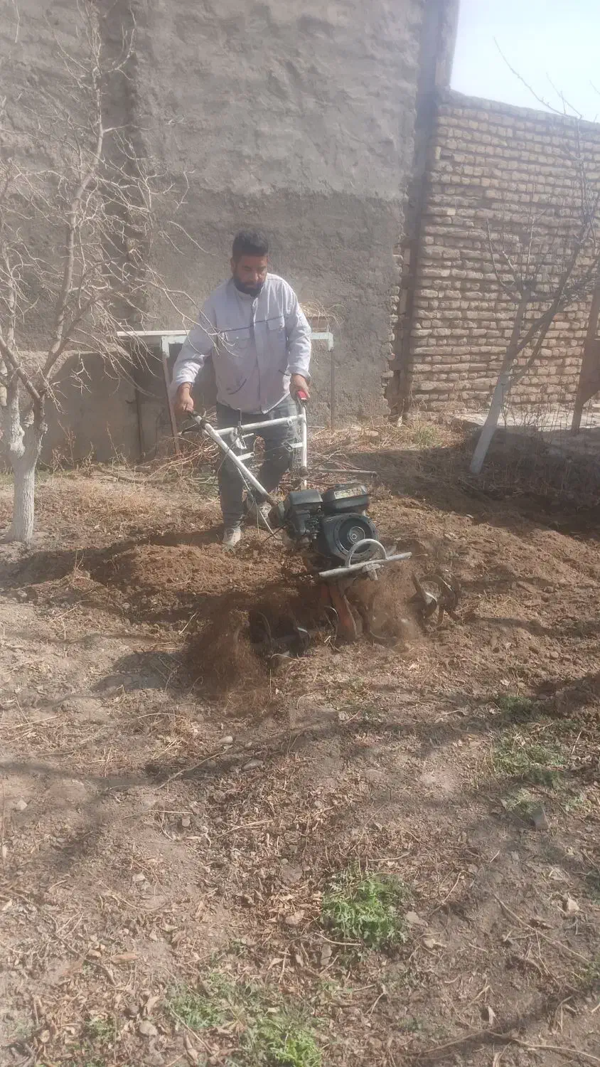 باغبانی سمپاشی هرس تیلر درختکاری گل کود بیل زدن|خدمات باغبانی و درختکاری|مشهد, توس (بلوار توس)|دیوار