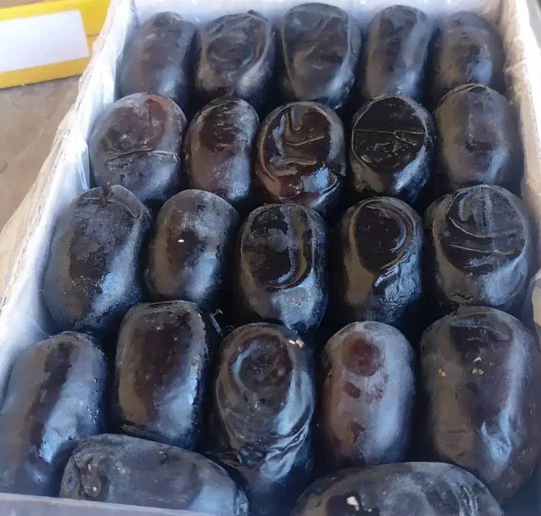 خرما درجه یک|خوردنی و آشامیدنی|مشهد, امام رضا (ع)|دیوار