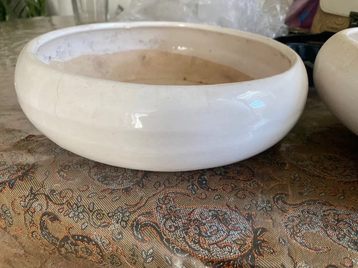 گلدون بنسای|گل و گیاه طبیعی|قم, امامزاده ابراهیم|دیوار