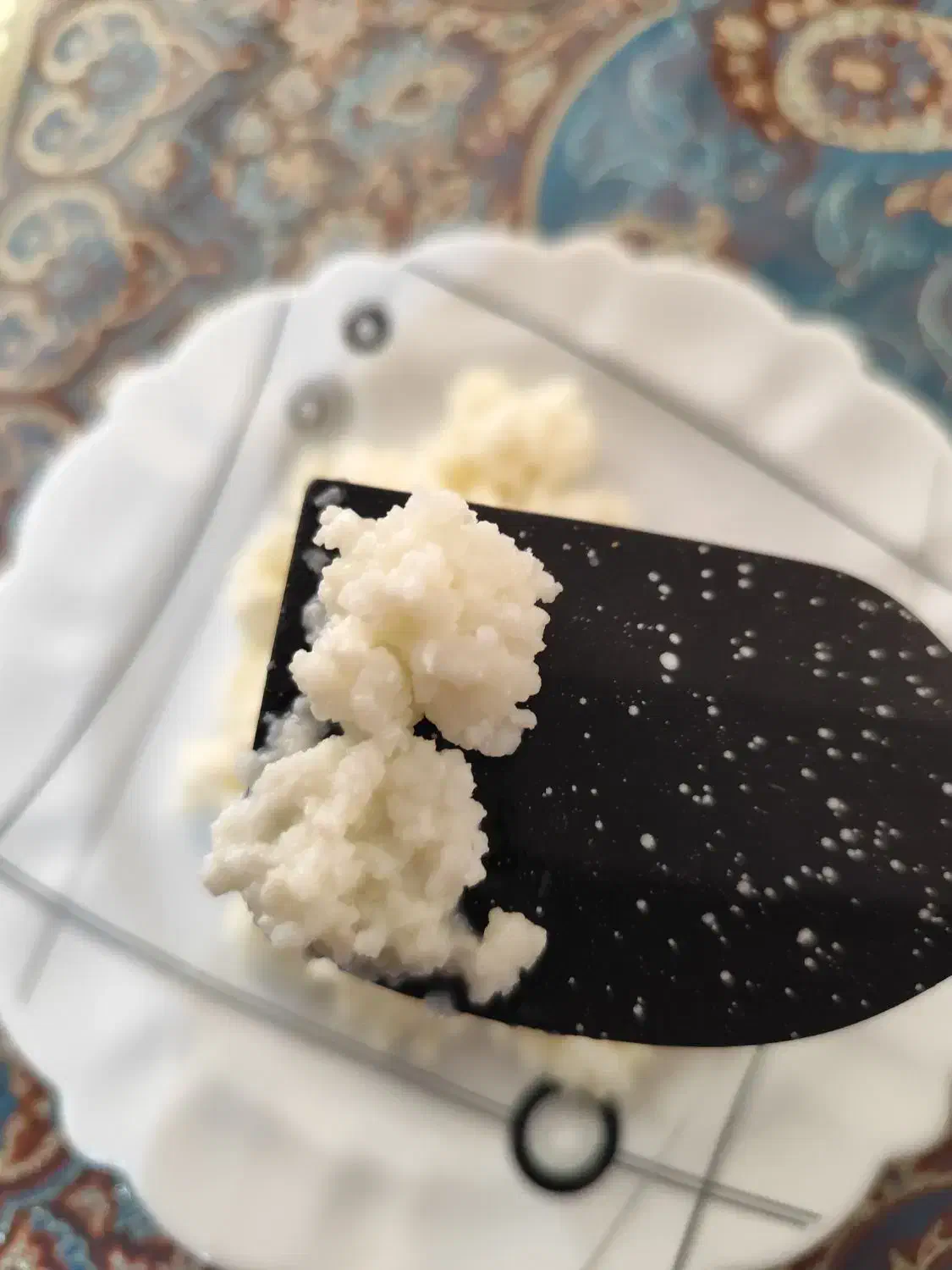 قارچ کفیر|حراج|نیشابور, بنیاد شهید|دیوار