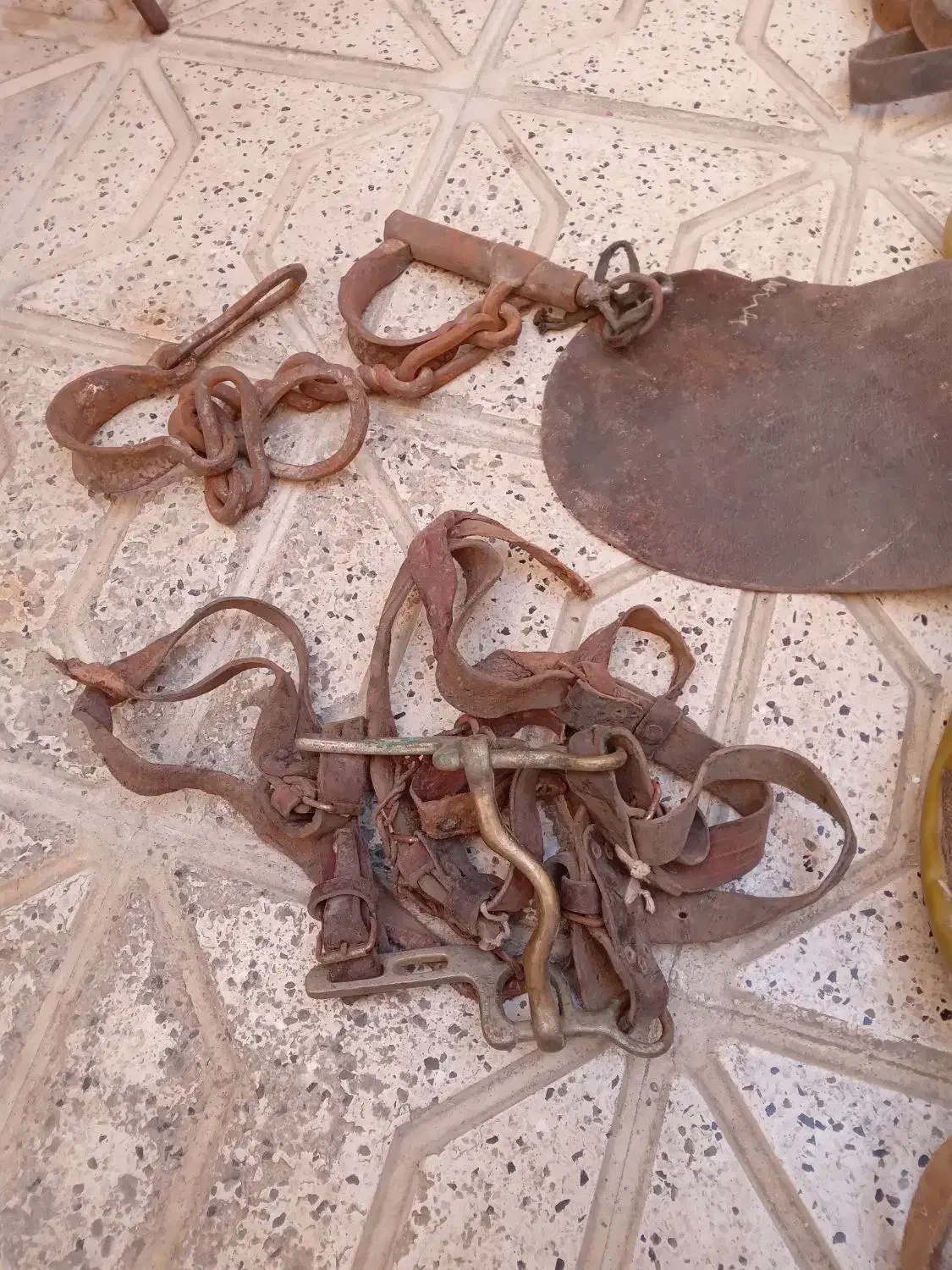 زین اسب|اسب و تجهیزات اسب‌سواری|مشهد, سجادیه|دیوار