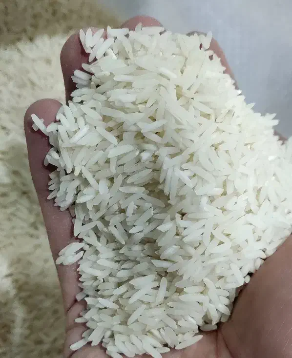 برنج طارم هاشمی قیمت مناسب|خوردنی و آشامیدنی|قم, یخچال قاضی|دیوار