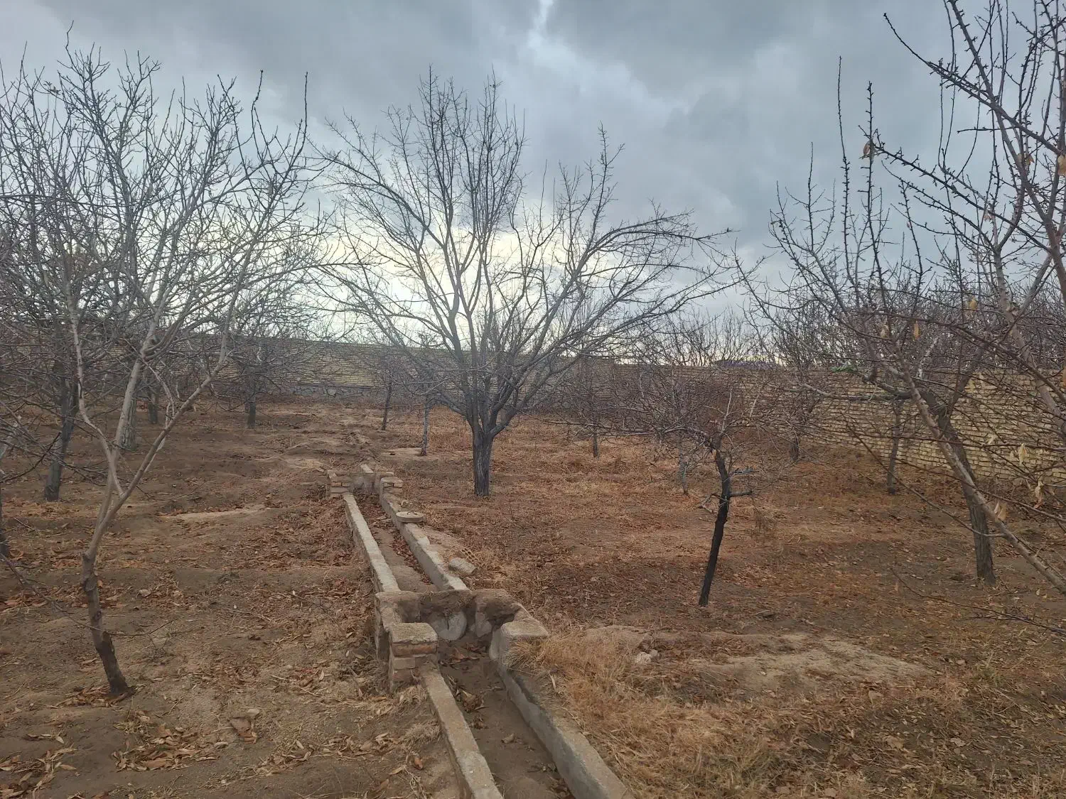 زمین ده|فروش زمین و ملک کلنگی|نیر (یزد), |دیوار