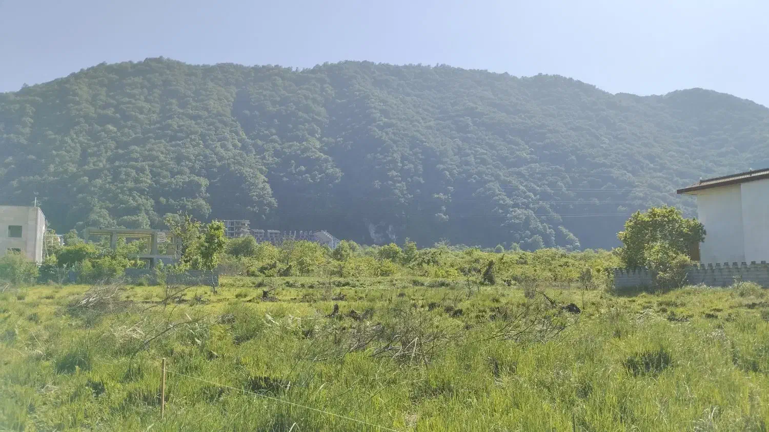 فروش زمین مسکونی|فروش زمین و ملک کلنگی|رامسر, |دیوار