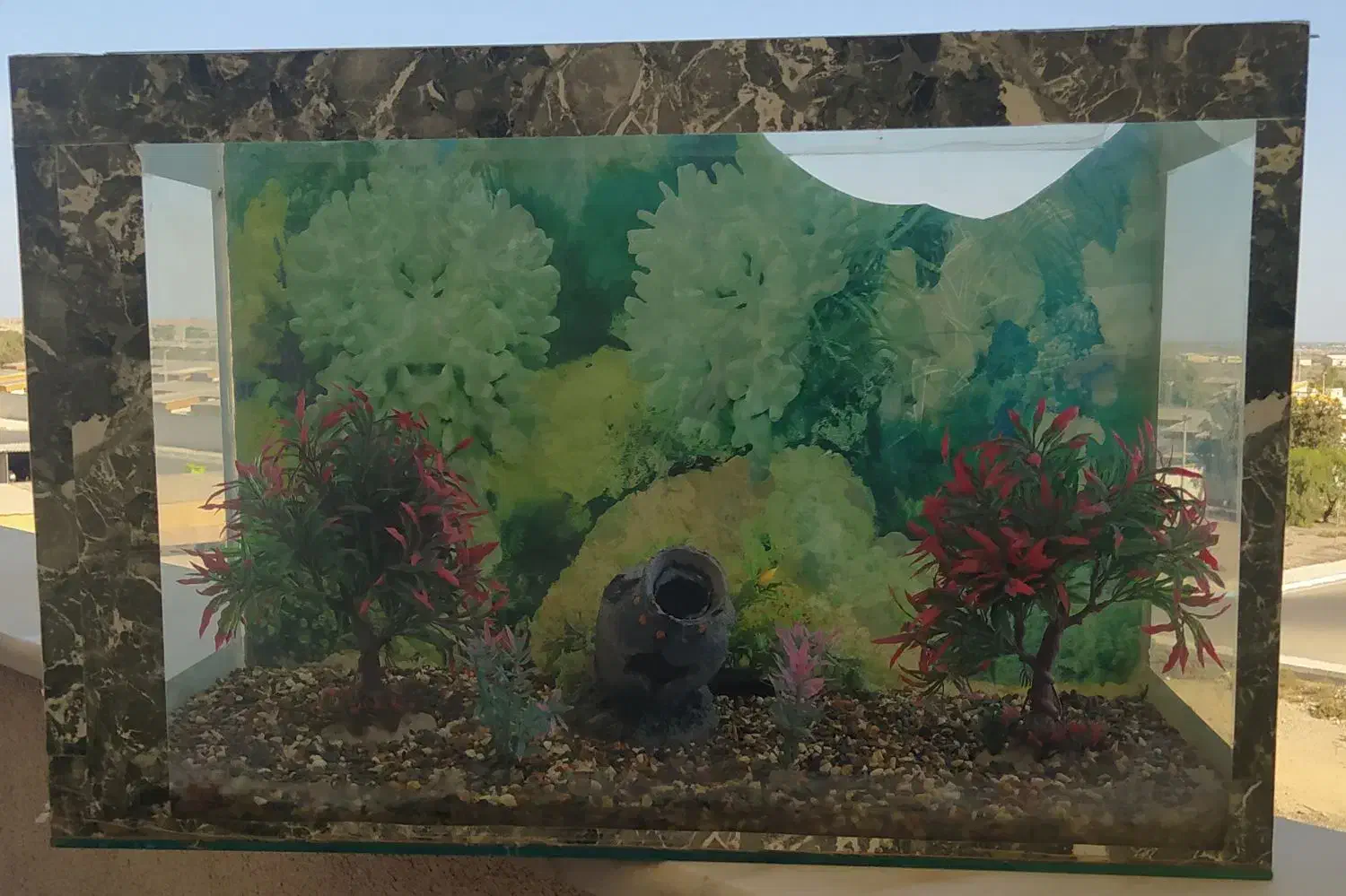 آکواریوم ماهی سایز بزرگ|ماهی|کنارک, |دیوار