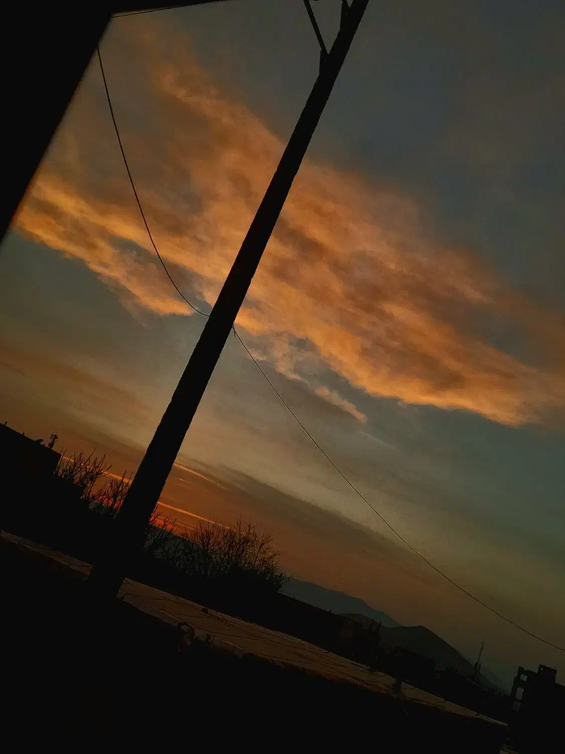 کشمش|خوردنی و آشامیدنی|سقز, |دیوار