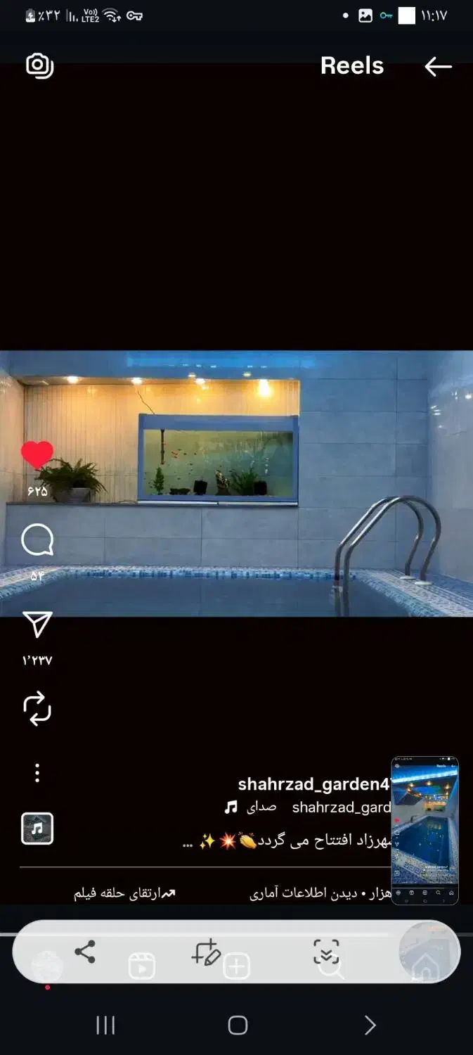 آکواریوم|ماهی|تربت‌حیدریه, بالا ولایت|دیوار