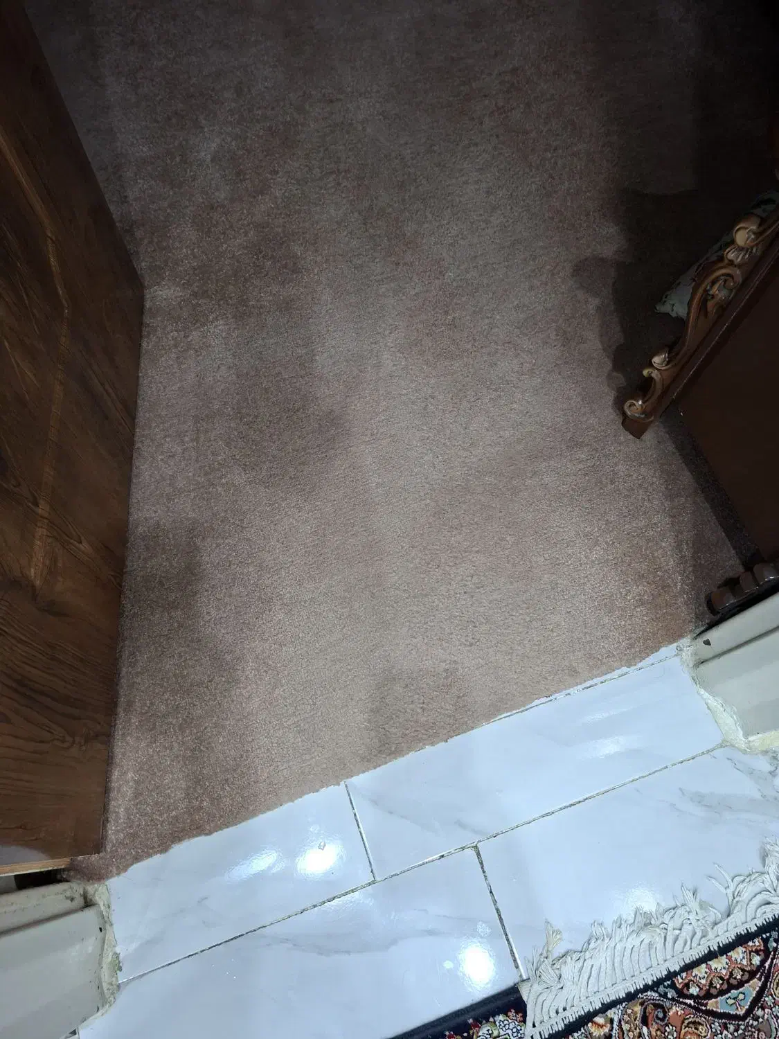 موکت پالاز|موکت|بهارستان, |دیوار