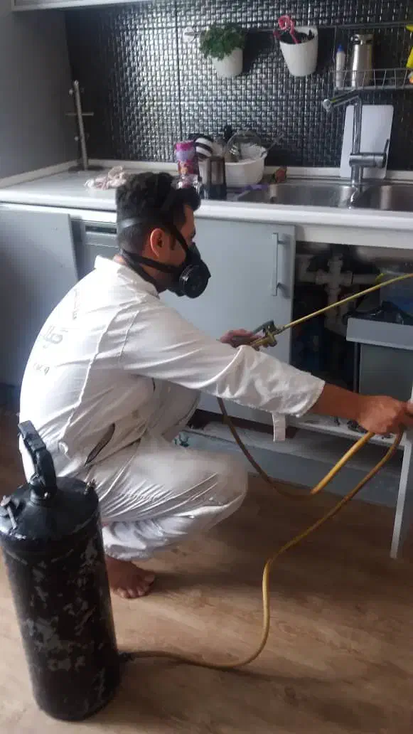 سمپاشی با ضمانت کتبی سمپاشی موریانه سوسک ساس موش|خدمات نظافت|اصفهان, گلستان|دیوار