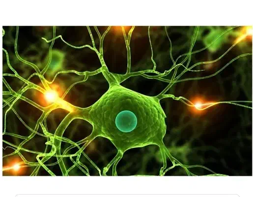 تدریس تخصصی زیست شناسی|خدمات آموزشی|کرمانشاه, |دیوار