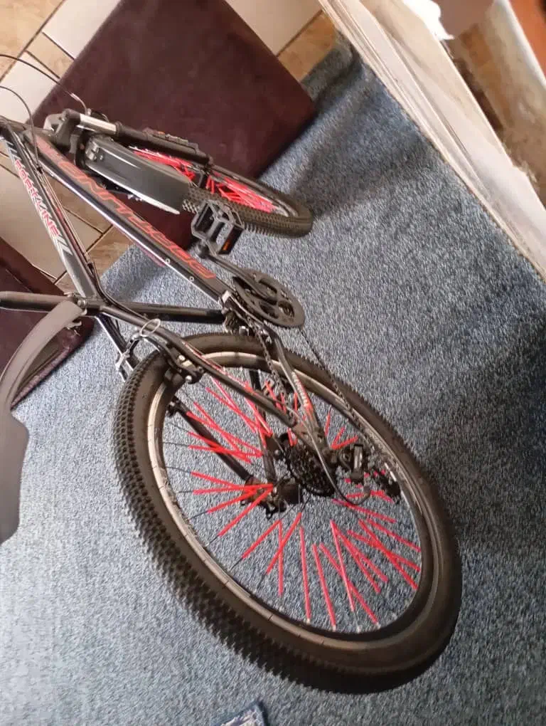 دوچرخه پورت لند|دوچرخه، اسکیت، اسکوتر|باوی, |دیوار