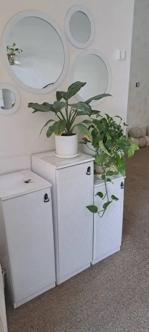 اتاق و سوئیت اجاره|اجارهٔ کوتاهمدت آپارتمان و سوئیت|بندر گناوه, |دیوار